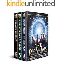 The Realms Boxed Set Volume 2 (Books 4 - 6): (An Epic GameLit/LitRPG Fantasy Adventure) book cover