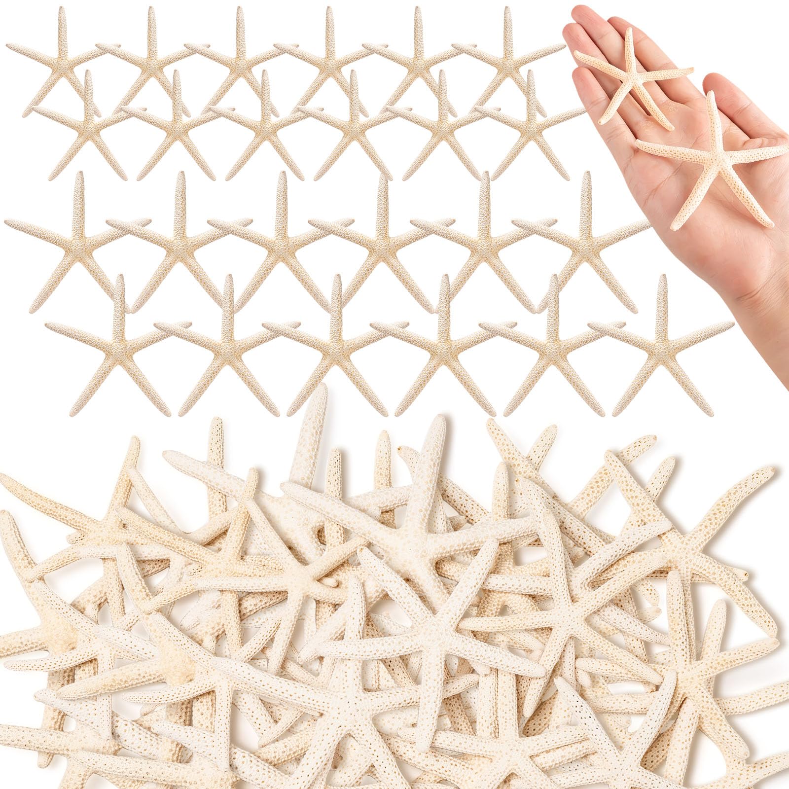 Photo 1 of 24 Pcs Starfish for Crafts, 2'' to 4'' Star Fish Shells Decorations, Natural Starfish Decor Bulk for Beach Theme DIY Crafts Christmas Tree Ornaments