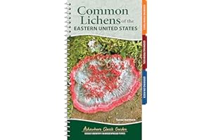 Common Lichens of the Eastern United States: Easily Identify 58 Widespread Types