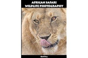 African Safari Wildlife Photography