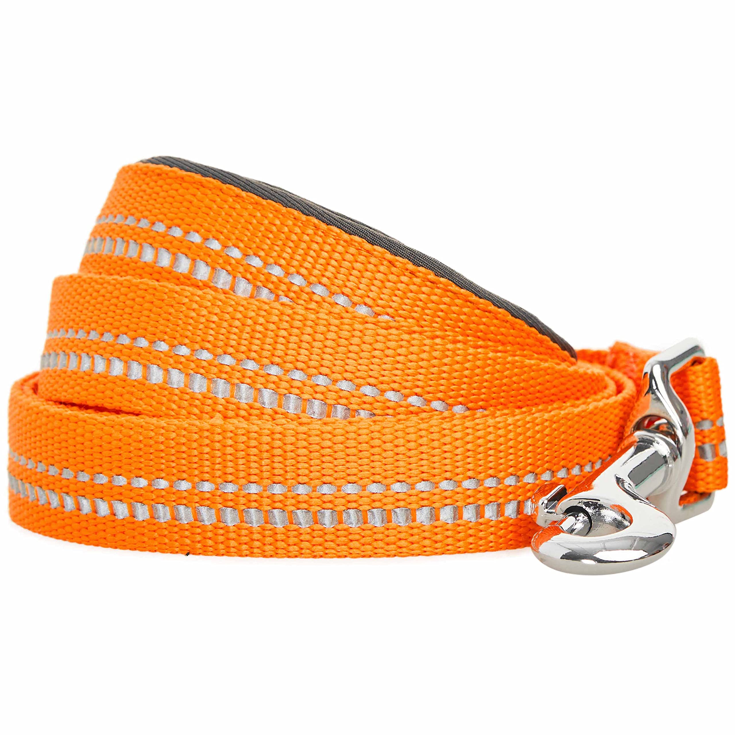 Blueberry Pet 3M Reflective Pastel Color Dog Leash with Soft & Comfortable Handle, 120 cm x 2.5cm, Orange Peel, Large, Leashes for Dogs