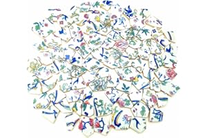 BTMIEY 1.1 LB Porcelain Ceramic Mosaic Tiles,Broken Irregular Mosaic Tiles for DIY Craft Floor,Kitchen,Pool, Flower Pots Mosaic Making Supplies (Porcelain 09)