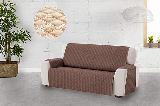 club de soccer magog