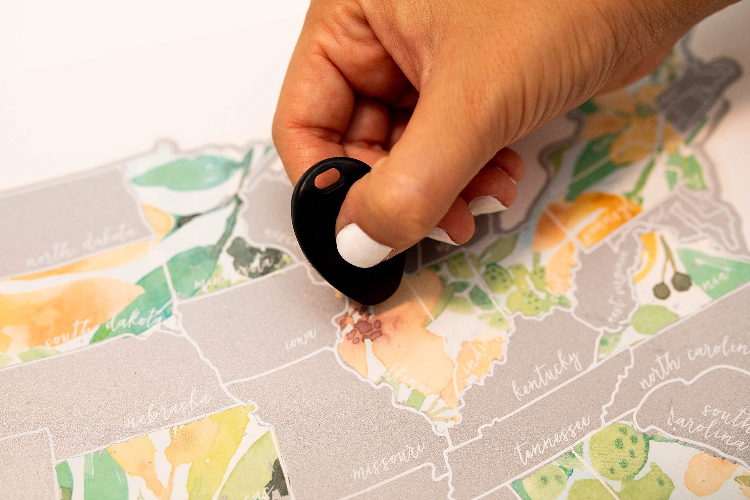 Jetsetter Maps Scratch Your Travels Peachy Botanicals Watercolor Floral USA Map (Silver)