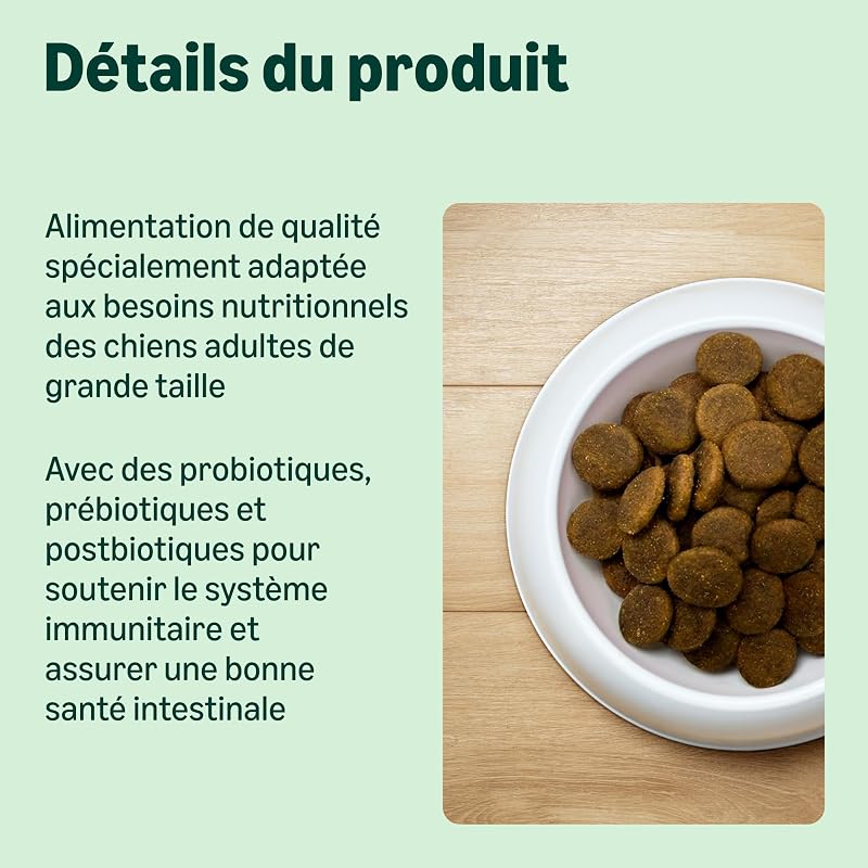 Nourriture sèche Premium pour Chien Adulte Grand Poulet 3 kg 1 Paquet