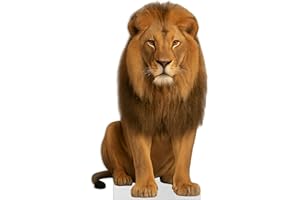 AMAZING ITEMS Lion - Sitting Life Size Standee - 4FT Freestanding Coroplast Cutouts | Safari Animal Standup Photo Booths, Jungle Party, Birthday & Halloween Decorations