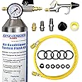 AutoWanderer Tool AC Flush Kit Air Conditioner System Flush Canister Gun Set for Clean A/C Line Flush R134a R410a R404a