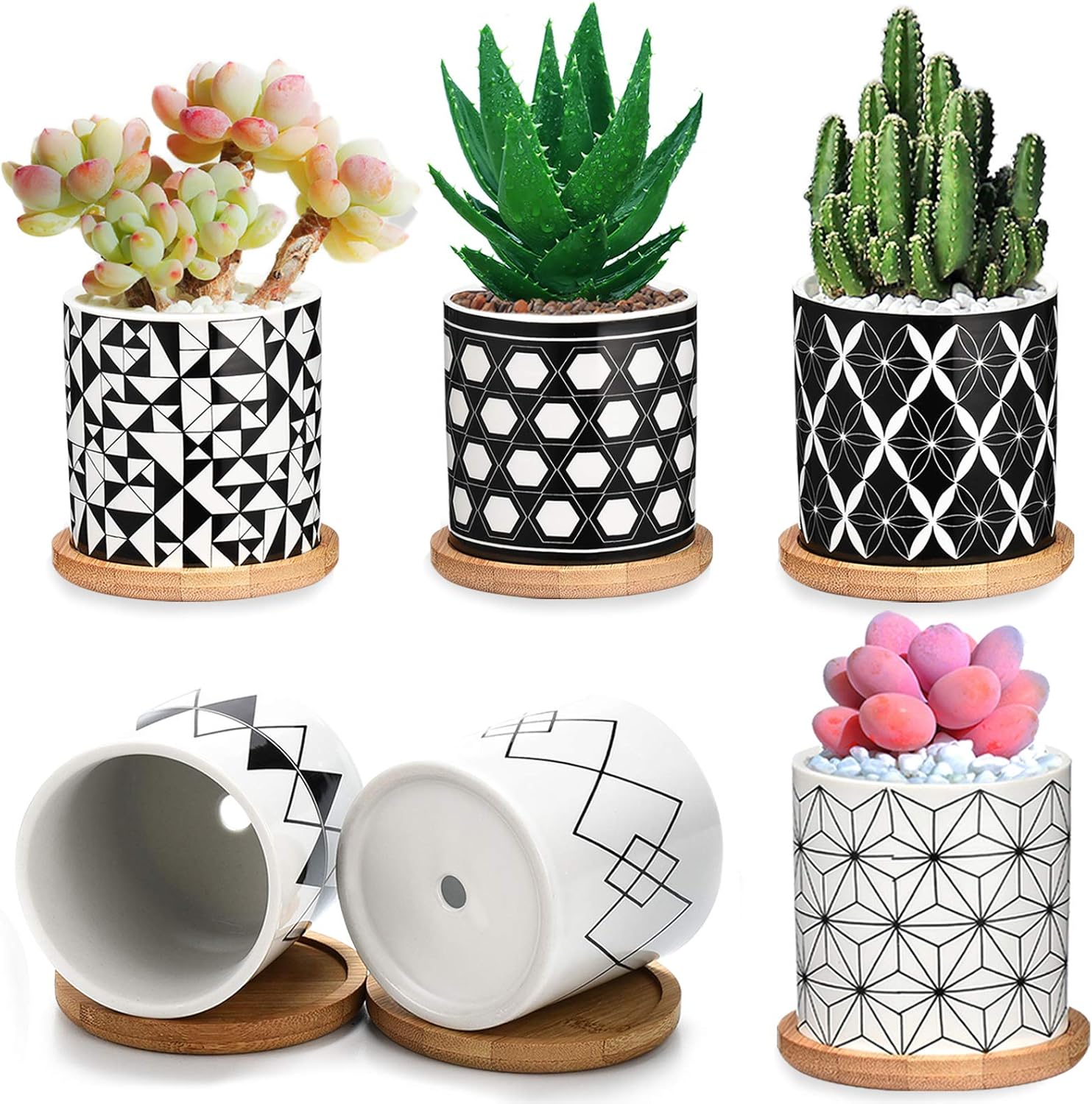 Succulent Pots 6 Pack,3 Inch Ceramic Planter with Drainage and Bamboo Tray, Geometric Patterns Small Plant Pots Decor for Home and Office - Plants NOT Included ?2021 New Upgraded?