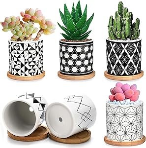 Succulent Pots 6 Pack,3 Inch Ceramic Planter with Drainage and Bamboo Tray, Geometric Patterns Small Plant Pots Decor for Home and Office - Plants NOT Included ?2021 New Upgraded?