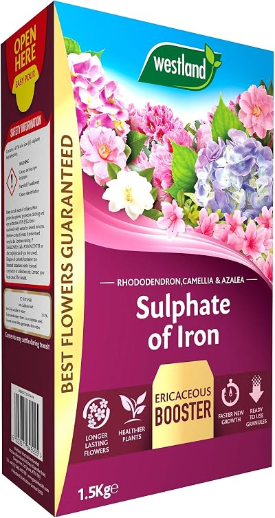 Westland Sulphate of Iron Plant Food for Ericaceous Plants 1.5 kg