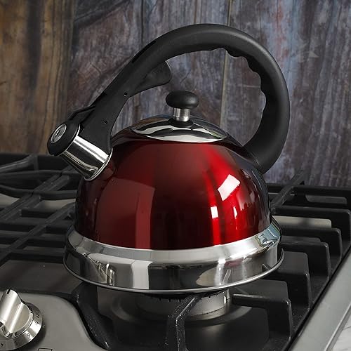 Mr Coffee Claredale Stainless Steel Whistling Tea Kettle,