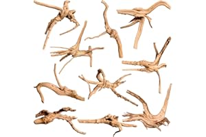 majoywoo Natural Small Driftwood for Aquarium Decor Fish Tank Decorations, Assorted Spider Wood Branch 2-4.5" 10 Pcs, Reptile Decor