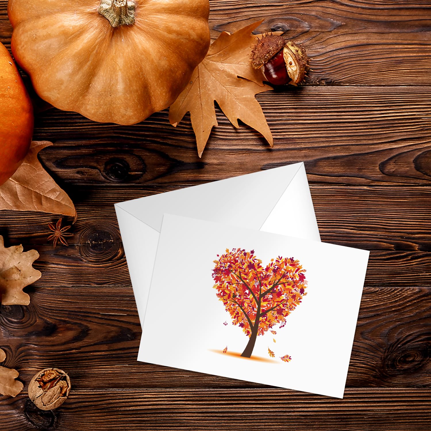 Seasons of Life Note Card Assortment Pack/Set Of 24 Greeting Cards And White Envelopes / 4 7/8