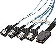 Cable Matters Internal Mini-SAS to 4x SATA Forward Breakout Cable 3.3 Feet