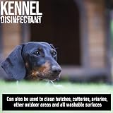 Ultima-Plus XP Kennel Kleen Disinfectant Cleaner Cherry 10 Litre view 4