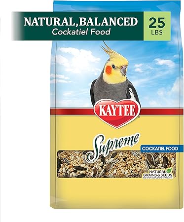 cockatiel supplies
