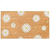 THEODORE MAGNUS Door Mat - Welcome Mat for Front Door with Non-Slip Backing - Durable Spring & Summer Doormat - Perfect for O