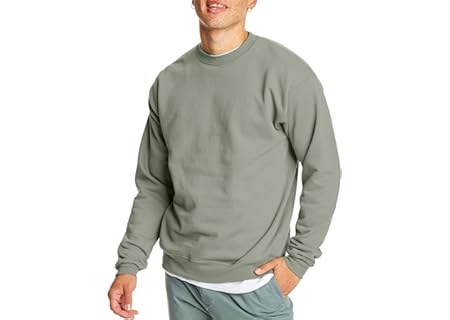 Hanes Men's EcoSmart Sweatshirt (2 Pack)