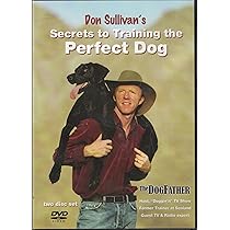 Don Sullivan Dog Training: Transform Your Pet Today!
