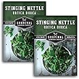 Stinging Nettle Seed for Planting - 2 Packets with Instructions to Plant and Grow Medicinal Herb Common Stinging Nettle in Your Home Herb Garden - Non-GMO Heirloom Variety - Survival Garden Seeds