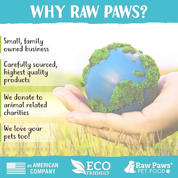 RAW PAWS STANDARD BULLY STICKS FOR SMALL DOGS, 6″ (10 PACK) – LOW ODOR JUNIOR BULLY CHEWS – FREE-RANGE PIZZLE STICKS FOR DOGS – SINGLE INGREDIENT DOG CHEWS – RAWHIDE ALTERNATIVE – LONG LASTING