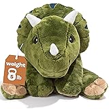 Brease 5 lb Weighted Green Dinosaur Stuffed Animal