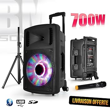 enceinte sono portable pas cher