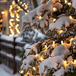C9 Christmas String Lights Outdoor - 20 LED Pathway