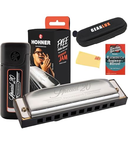 Amazon.com: Hohner Special 20 D Harmonica M560036X : Everything Else