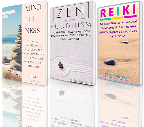 Download Meditation For Beginners : 3 Manuscripts - Mindfulness, Buddhism, Reiki (English Edition) PDF