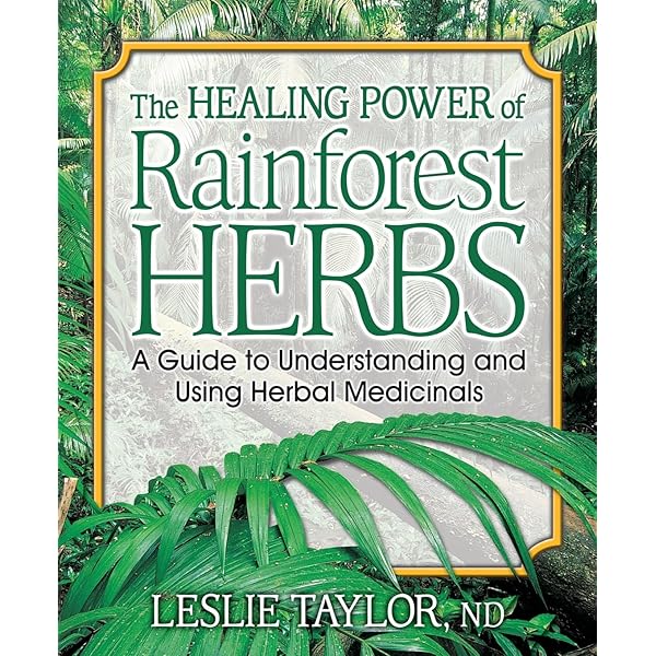 Amazon.com: The Healing Power of Forests: The Philosophy