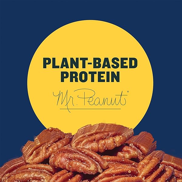 PLANTERS SALTED PECANS, INDIVIDUAL NUTS SNACK PACKS, 7.25 OUNCE, PACK OF 1