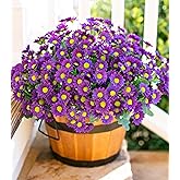 Daisy Artificial Flowers for Outdoors Decoration, 6 Bundles Fake Plants Flowers Bouquet Faux Flowers for Outdoor Planter Look Real UV Resistant Silk Flowers for Outside Front Door Porch Patio, Purple