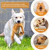 Newthinking No Stuffing Squeaky Dog Toys 6 Pack Long Plush Squeakers view 5