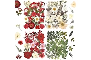 DALARAN 100pcs Red Natural Flowers and Leaves Compressed Dried Flowers for Resin Vacuum Packed DIY Dried Flowers for Epoxy Jewelry Candles Soap Nail Production