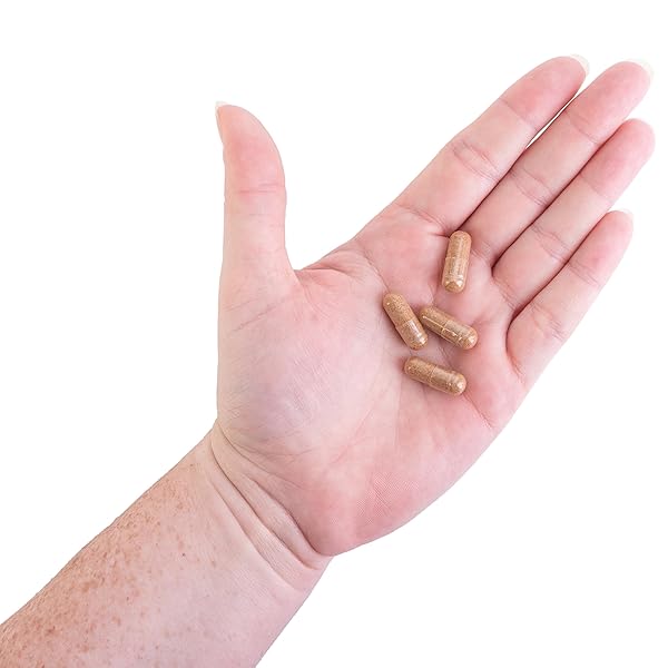 KROEGER HERB PRODUCTS, RASCAL, BALANCED GUT & HEART HEALTH WITH HERBS LIKE GARLIC, CAYENNE, PUMPKIN SEEDS, VEGETARIAN, NON-GMO, GLUTEN FREE, NO PRESERVATIVES, HEALTHY MICROBIAL BALANCE, MADE IN USA