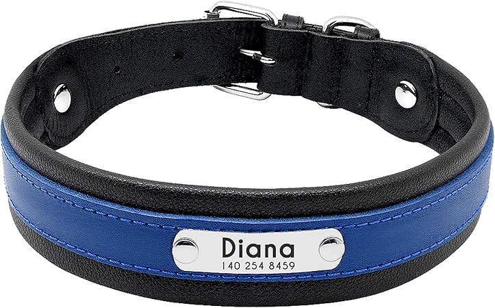blue leather collar