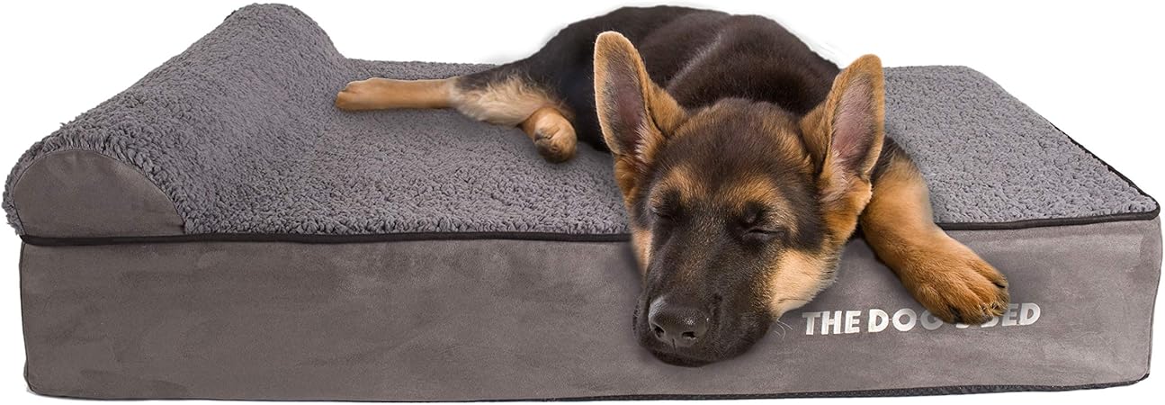 bloodhound and lab mix