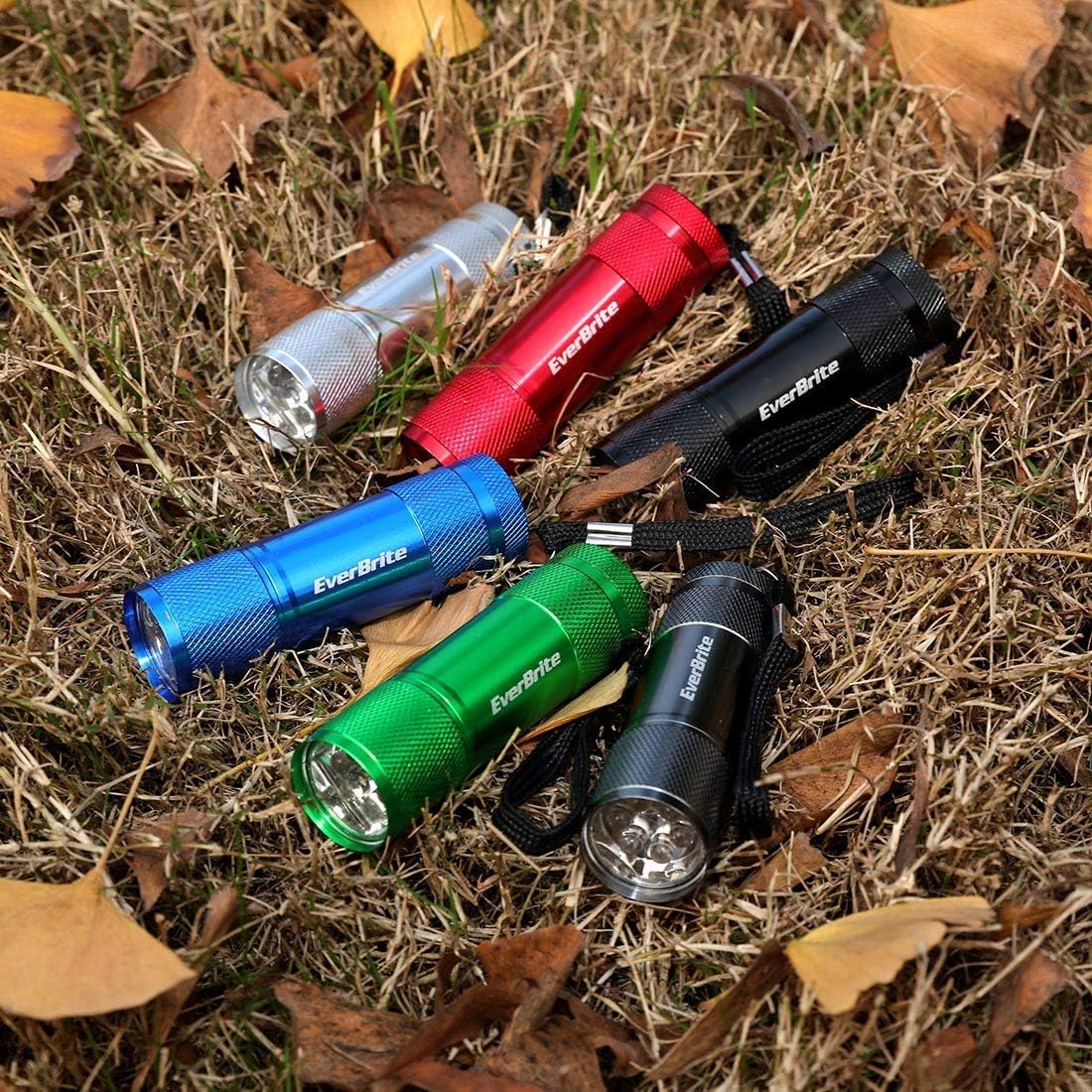 EverBrite 18-pack Mini LED Flashlight Set - Portable Flashlights Ideal for Hurricane Supplies Camping, Night Reading, Cycling, BBQ, Party, Backpacking - Includes Lanyard & 54 x AAA Batteries - - 