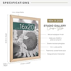 MCS Studio Gallery Classic 16x20 Poster Frame