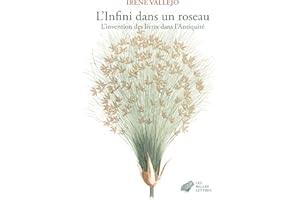 L’Infini dans un roseau: L’invention des livres dans l’Antiquité (French Edition)