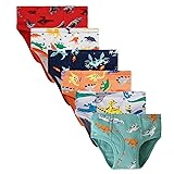 Boboking Little Boys Briefs Dinosaur Truck Toddler