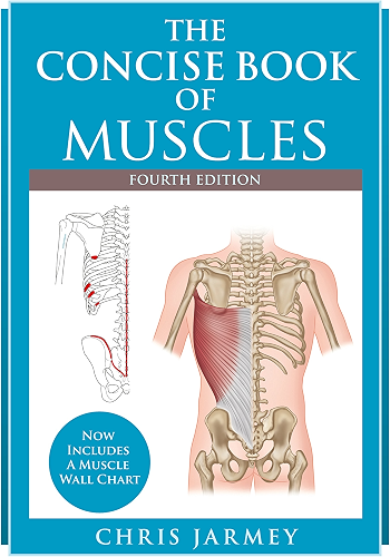 Download The Concise Book of Muscles, Fourth Edition (English Edition) PDF