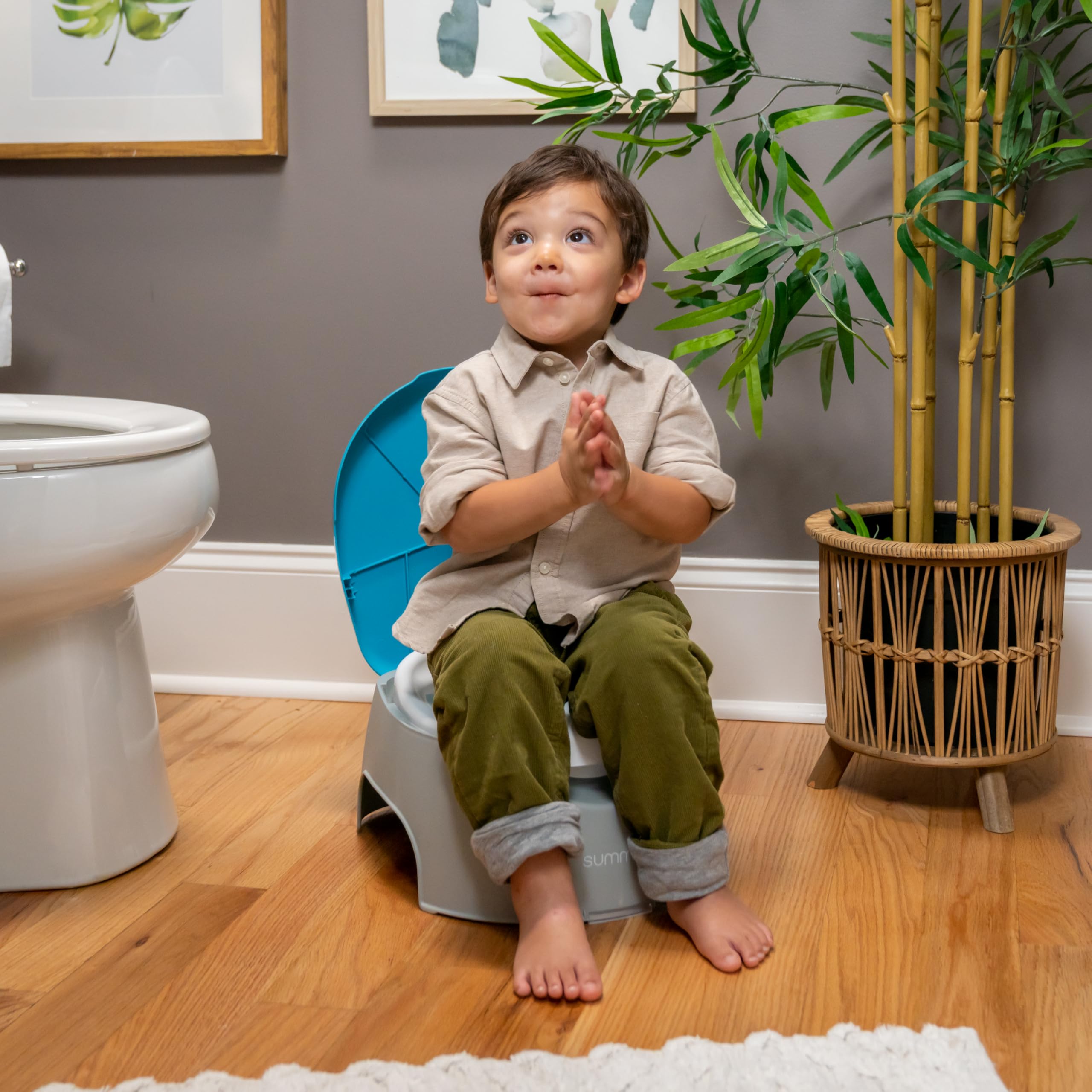 Summer Infant Summer 3-in-1 Train with Me Potty Seat Topper and Stepstool for Toddler Training and Beyond Easy to Empty and Clean Space Saving