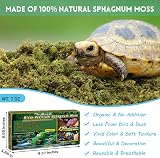 Riare 200g Natural Sphagnum Moss for Reptile Terrarium Bedding view 2