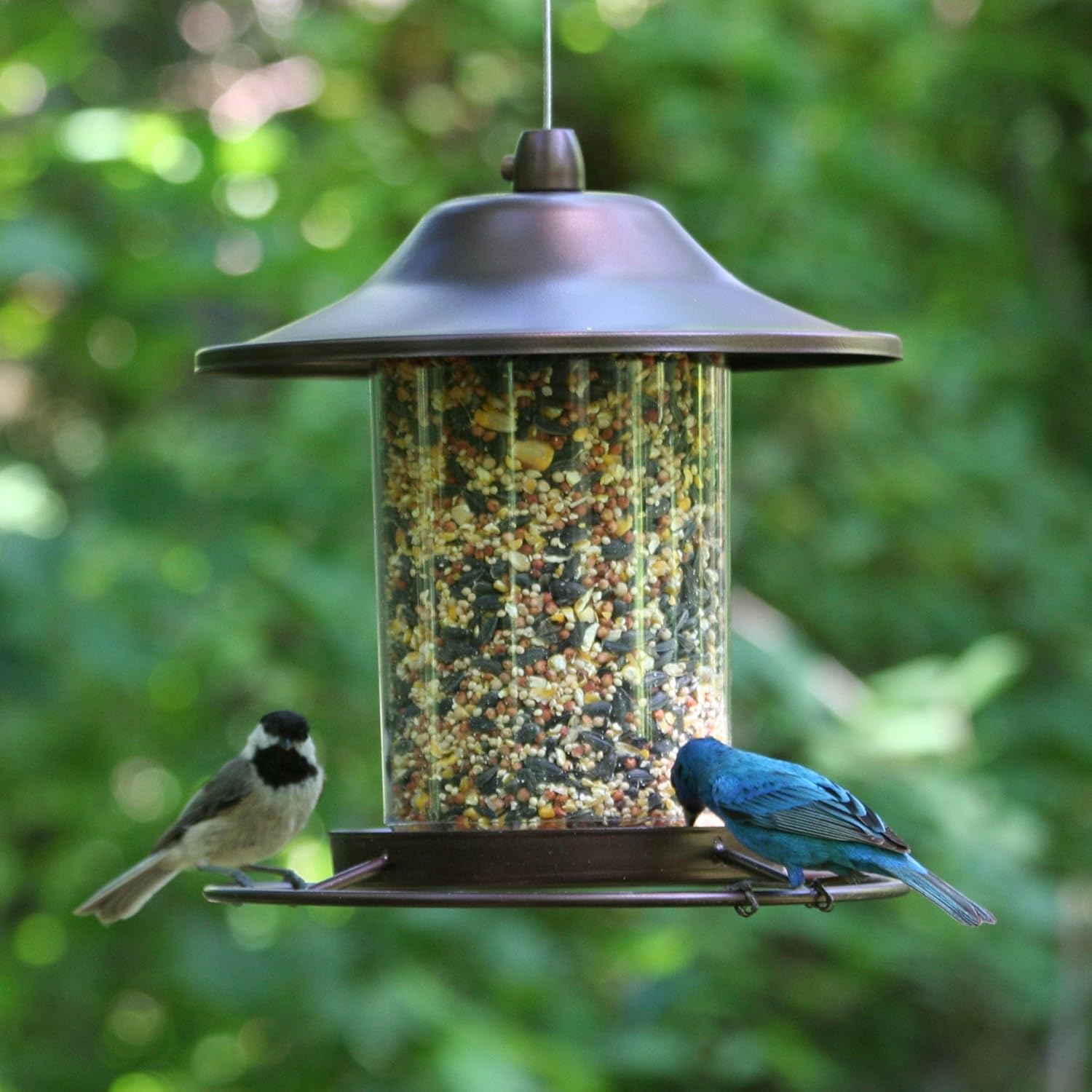 Perky-Pet 312 Panorama Bird Feeder, 2 lbs, Brown : Wild Bird Feeders : Garden & Outdoor