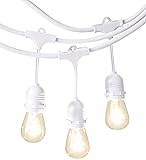 AmazonBasics PL200-48-WHT Patio String Light, 48