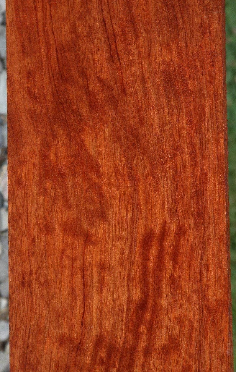Bubinga Knife Scales by Woodchucks Wood
