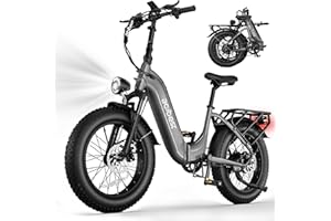 ACTBEST Electric Bike for Adults, 20" X4 Fat Tire Ebikes with Peak 1000W Brushless Motor, 48V 15AH Removable Battery, Step-Thru E Bicycle Bike up to 28MPH, 7-Speed, Knight