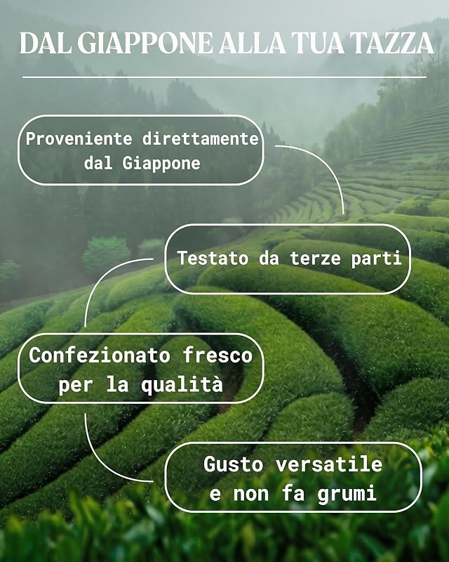 Matcha Premium Giapponese Bio in Polvere con L-Teanina